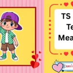 TS Boy Text Meaning